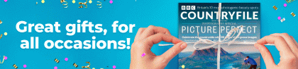 OMS_Gift_Banner